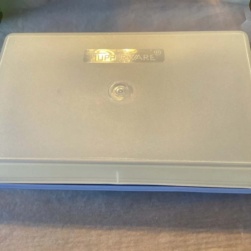 Tupperware Snack-Stor Rectangular Large - light blue seal